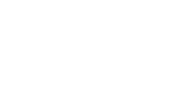Sena Kozar Strategies logo